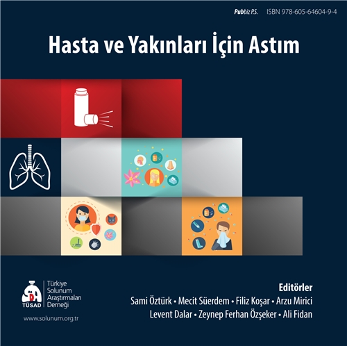 Satır i&ccedil;i resim 9